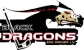 blackdragonserfurt