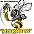 zweibrueckenhornets