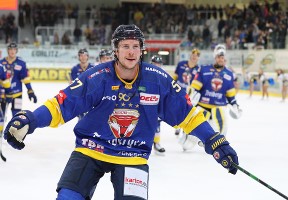 Zerter-Gossage Lewis